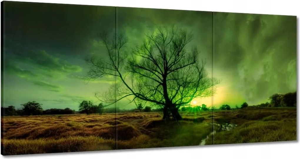 Festmények 120x60 Rogalin