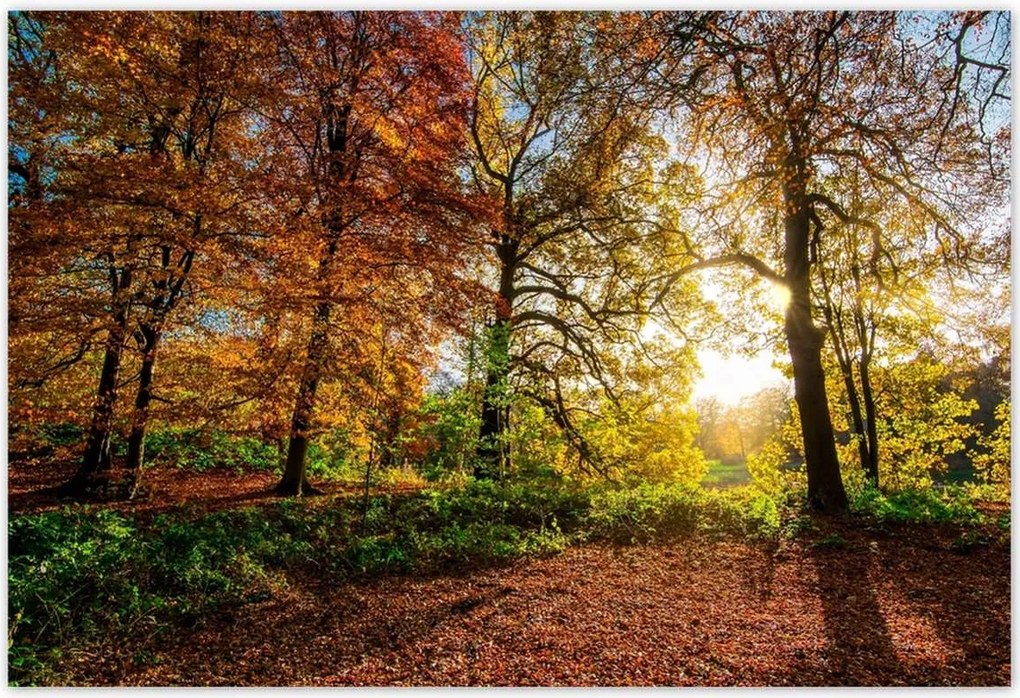 Poszterek 185x125 Tájkép