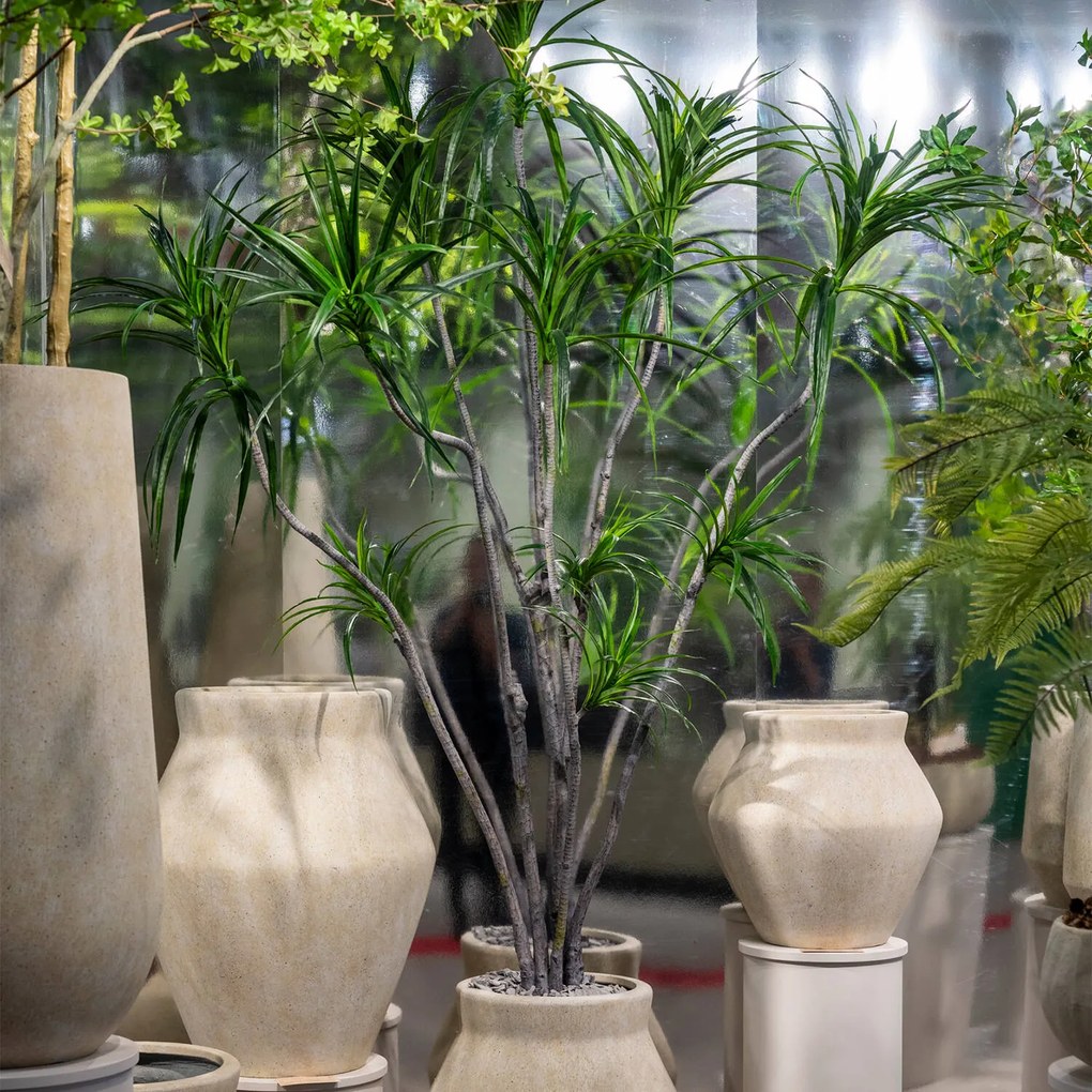 Pottery Pots Realisztikus műnövény Dracaena marginata, XL méret - ø 50 cm | m. 230 cm - PotteryPots
