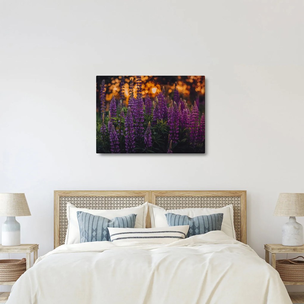 Egy csillagfürt virág képe (70x50 cm)