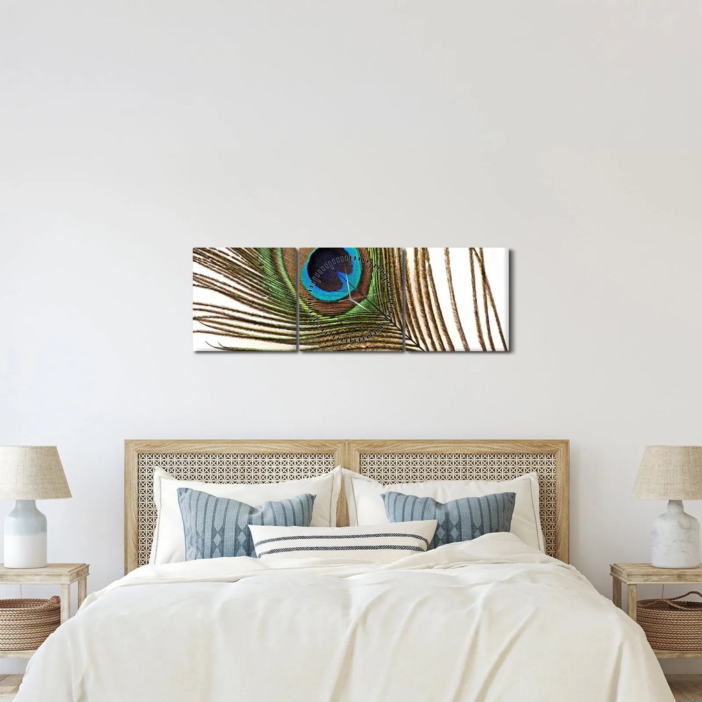 Pávatoll képe (órával) (90x30 cm)