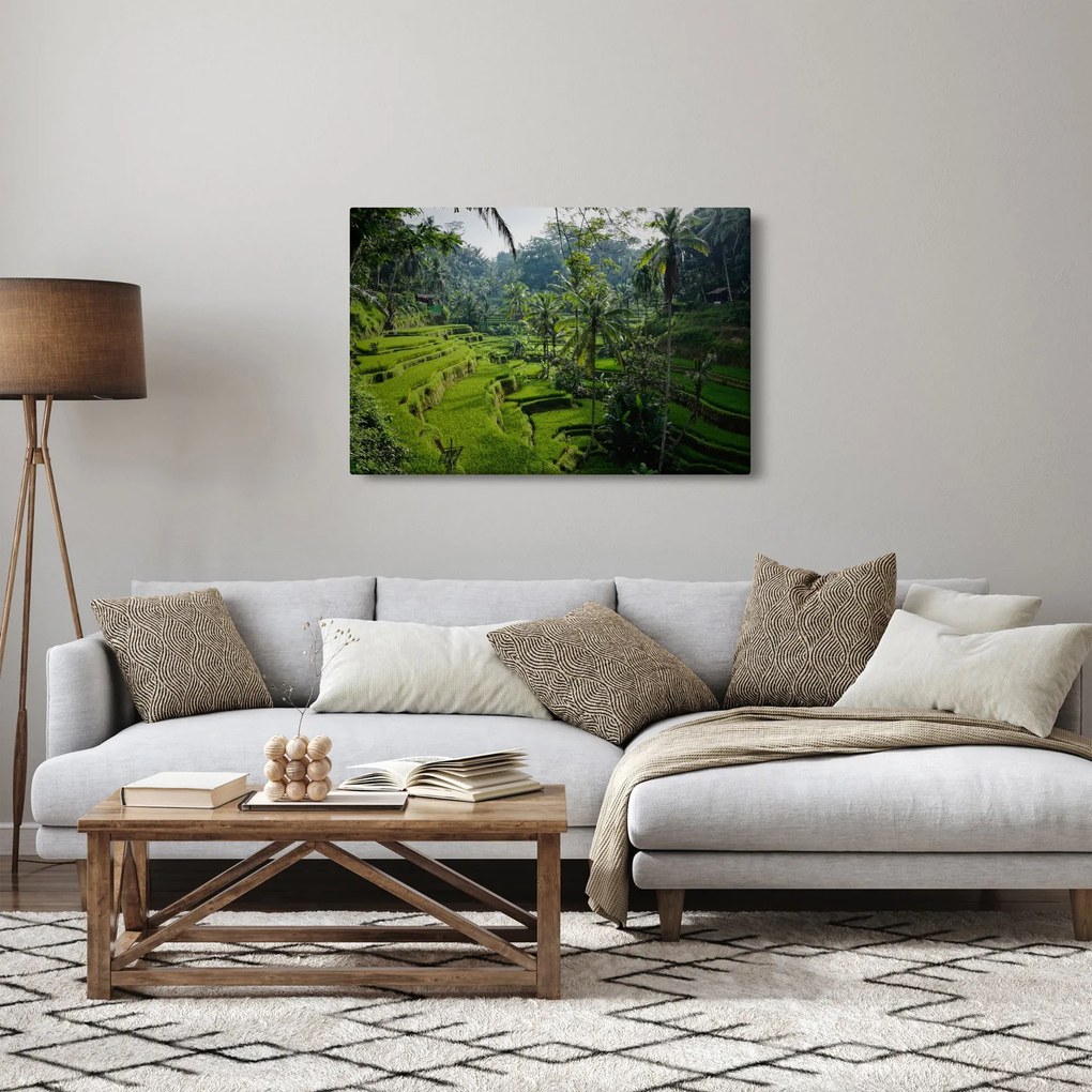 Kép a rizs teraszokról, Tegalalang, Bal (90x60 cm)