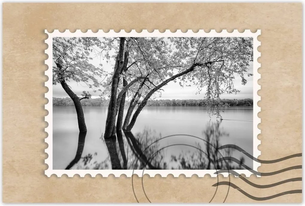 Poszterek 90x60 Fák Erdő Tó