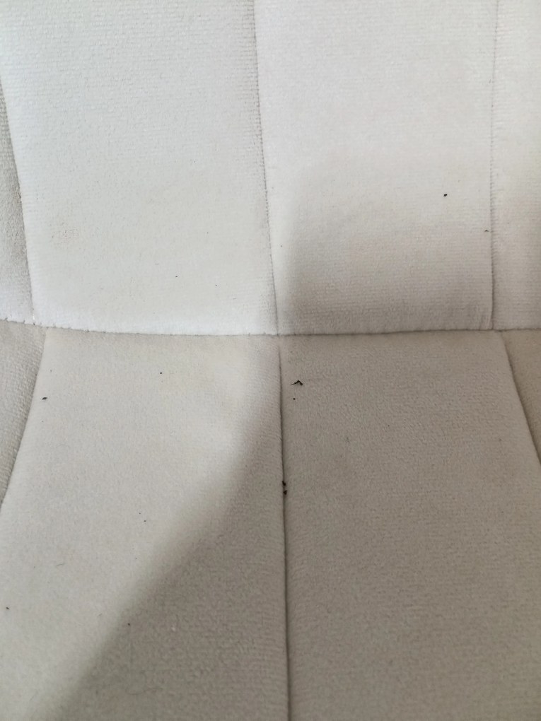 AKCIÓ Bézs bársonyos szék LAVA fekete lábakkal II. osztály