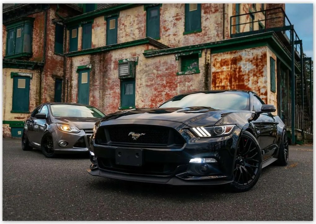 Fotótapéták 312x219 Fekete amerikai szörny