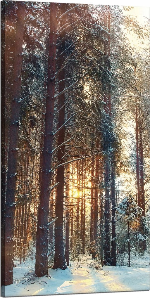 Vászonkép Erdő Tél Hó Fehér Természet 60x120 cm