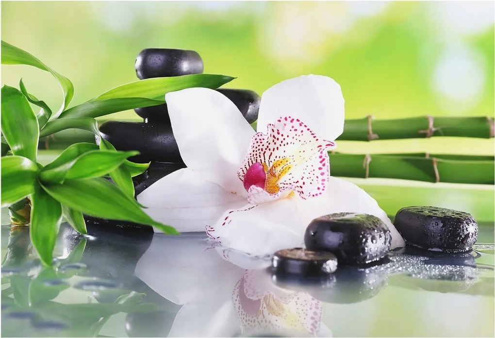 Fotótapéta Flizelin Dekoratív Hálószoba A természet nyugalma 152x104 Ragasztó