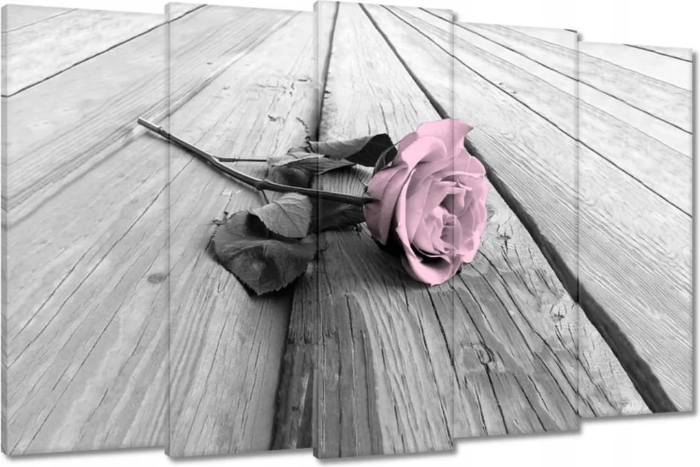 Vászonkép 150x95 Púderrózsaszín Old pink Rose