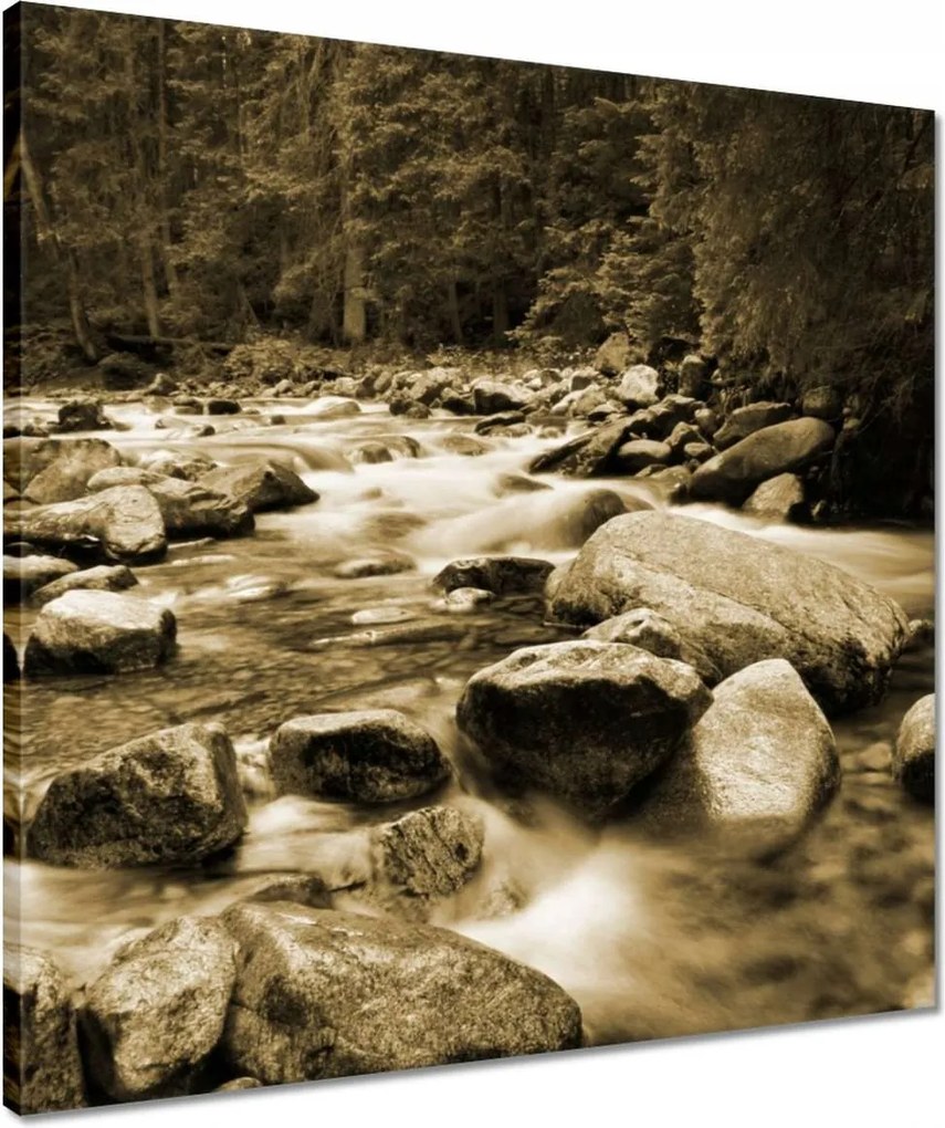 Vászonkép 50x50 Tátra Lengyel hegyek Kilátás