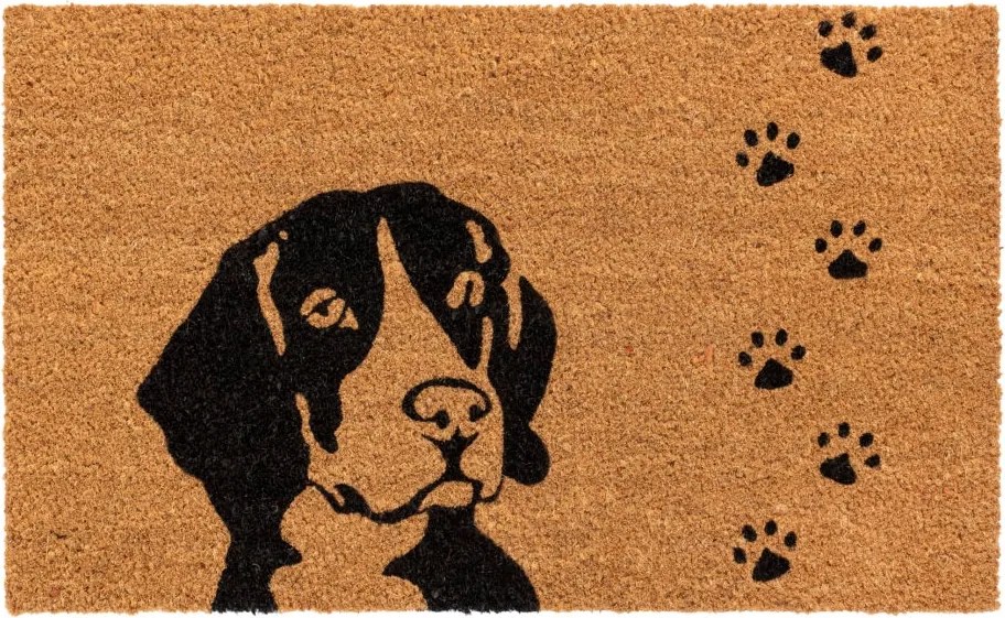 Lábtörlő kókusz cipőszőnyeg Kutya 75 x 45 cm