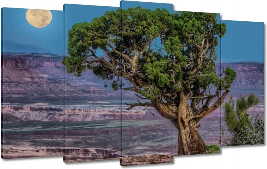 Festmények 100x60 Kilátás Tájkép