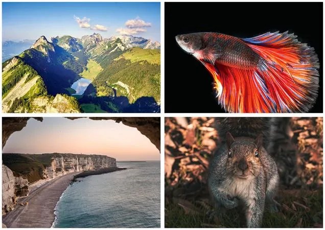 Naptár, fali, DAYLINER, Természet varázsa (NFATVB4U)