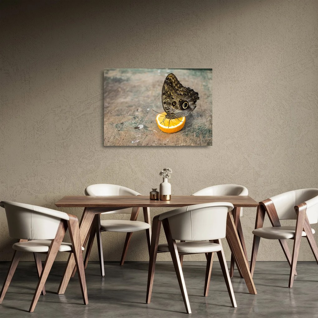 Pillangó képe (üvegen) (70x50 cm)