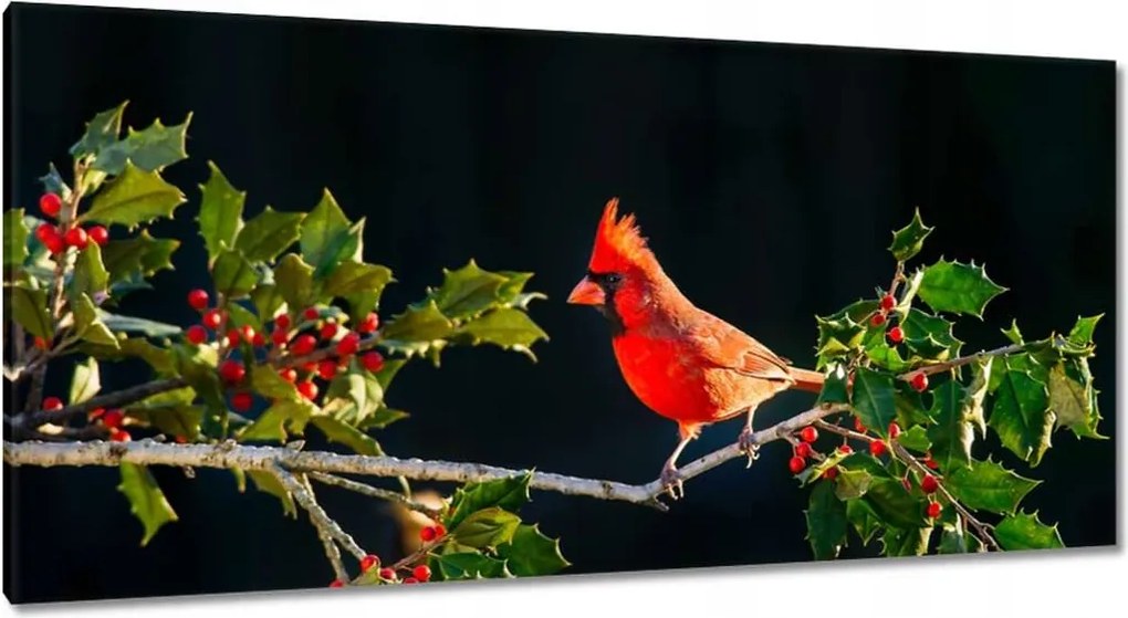 Vászonkép 115x55 Madarak