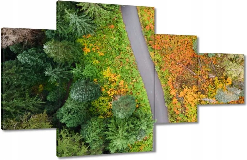 Vászonkép 130x80 Út Erdő Ősz