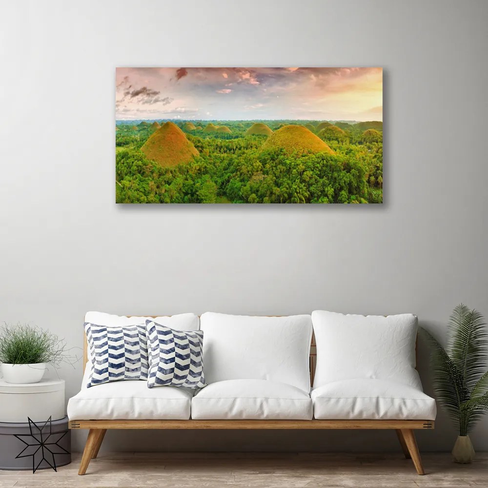 Vászonkép Jungle-erdő Természetvédelmi 125x50 cm