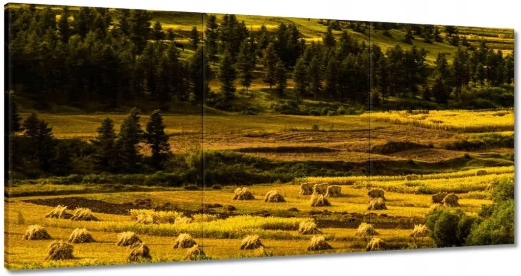 Festmények 180x90 Tájkép Látvány