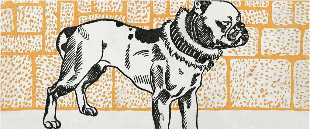 Fotótapéta Flizelina Nappali és Hálószoba Kutya retro 250x104 Ragasztó