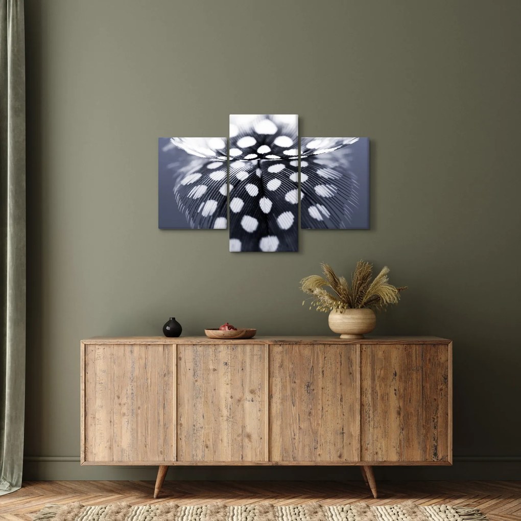 Kép - Toll (90x60 cm)