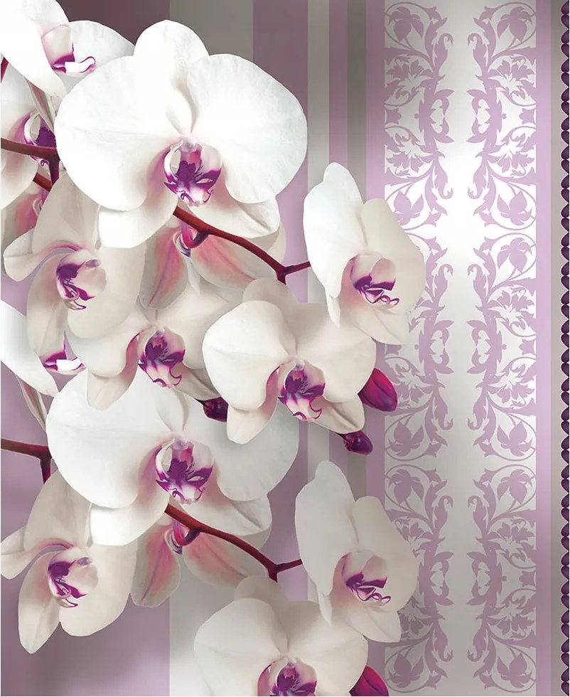 Fotótapéta Orchideák finom csíkok elegáns belső tér 206x275 +ragasztó