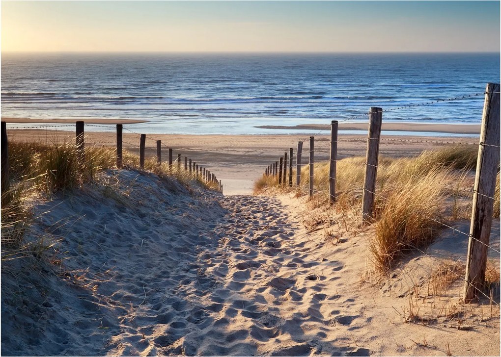 Kép - Út az északi-tengeri strandra, Hollandia (70x50 cm)