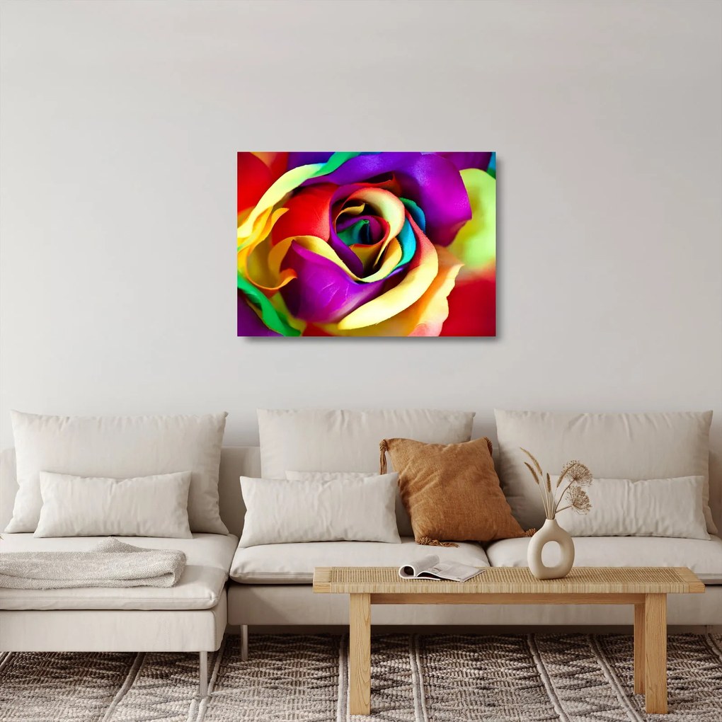 Üveg kép - Színes rózsa (70x50 cm)