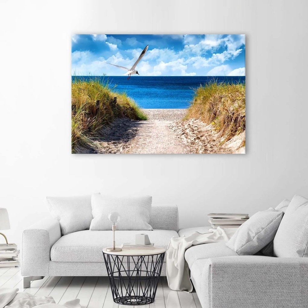 Gario Vászonkép Út a tengerpartra és egy sirály Méret: 100 x 70 cm
