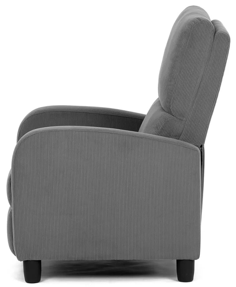 Fotoliu De Relaxare Și TV Culoare Gri,Material Catifea Matlasată, Reglabil Manual, Rabatalil, TV-4011