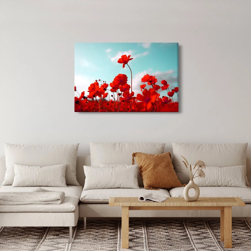 Fényes piros virágokkal rendelkező mező képe (90x60 cm)