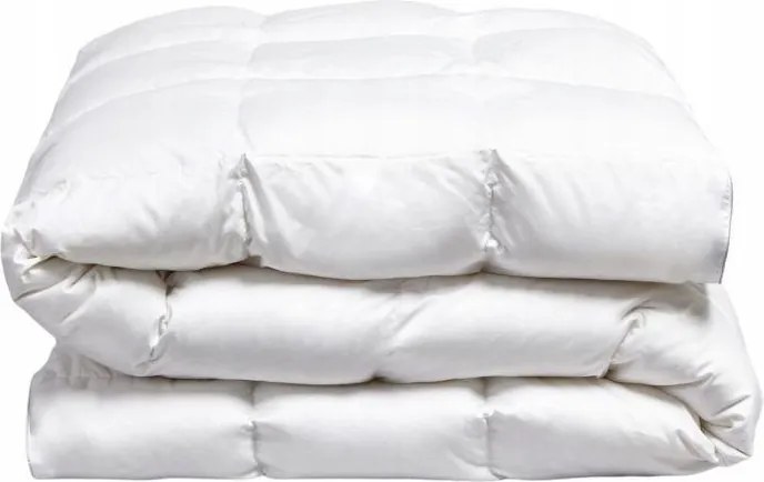 Lengyel Antiallergén Paplan 140x200 Egész Éves