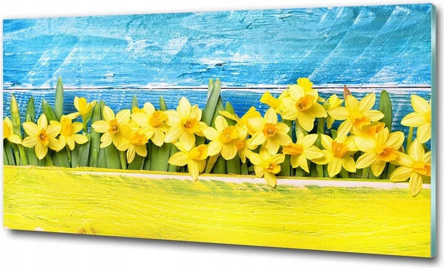 Fotótapéta üvegfalra Pitypang mező 125x50