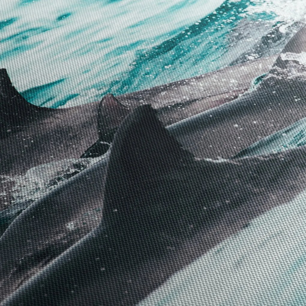 Kép - Delfinek az óceánban (70x50 cm)