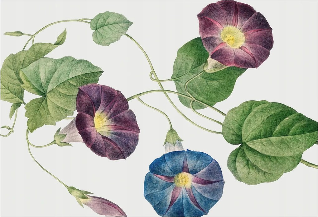 Fotótapéta Flizelin Hálószoba fal Virágos elegancia 152x104