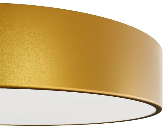 Brilagi - Fürdőszobai mennyezeti lámpa CLARE 2xE27/24W/230V átm. 30 cm IP54 arany