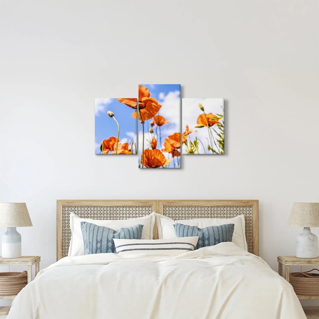 Pipacsok képe (90x60 cm)