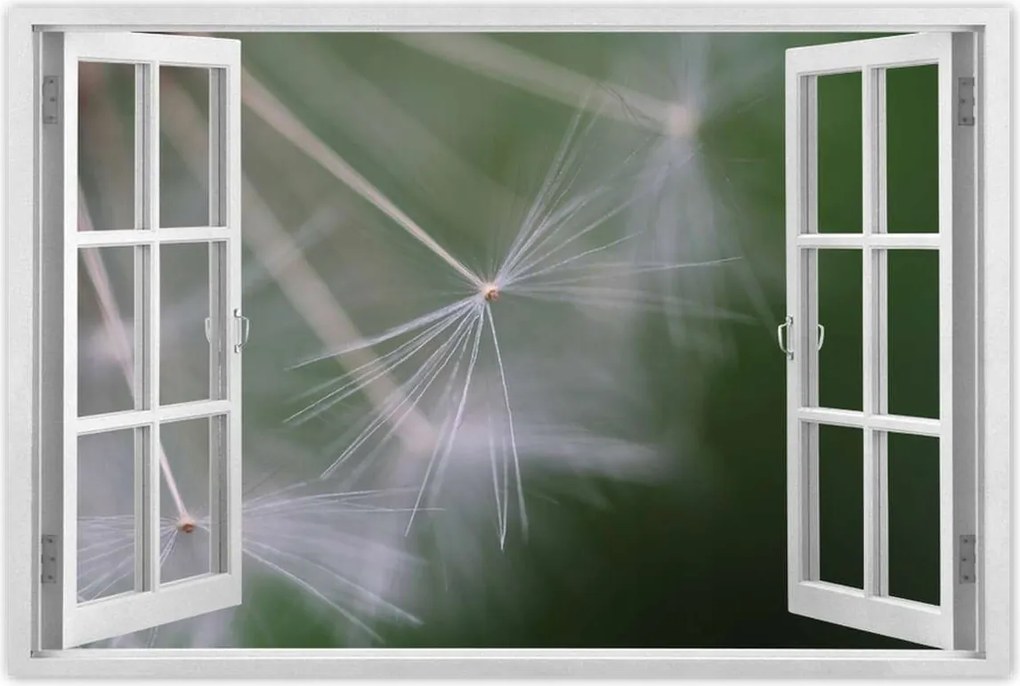 Poszterek 120x80 Pitypang Virág Virágok