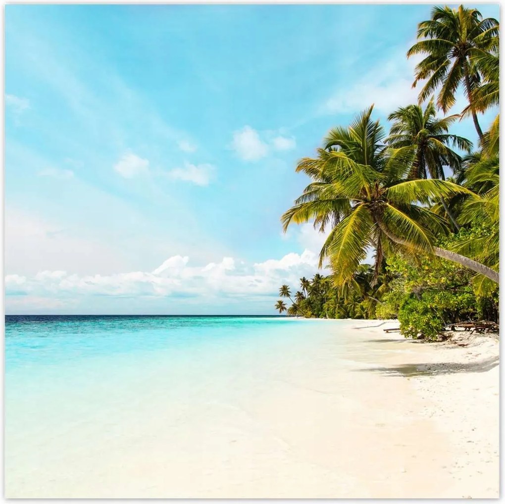 Poszterek 70x70 Trópusok Tájkép Pálmafák