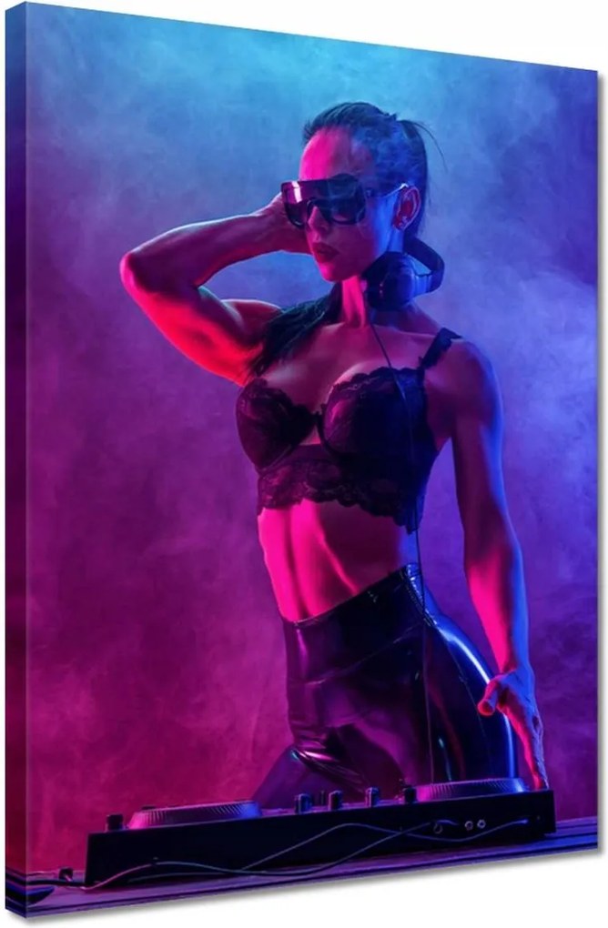 Vászonkép 30x40 DJka Nő Dj Füst Pár