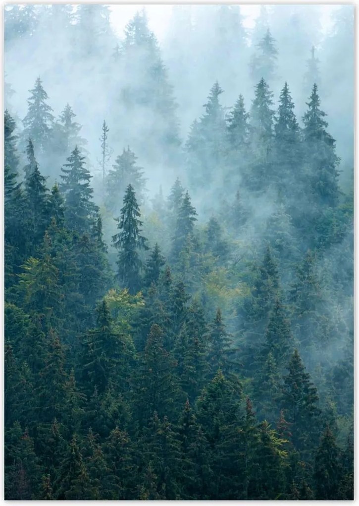 Poszterek A2 Pion Erdő a ködben Utazás