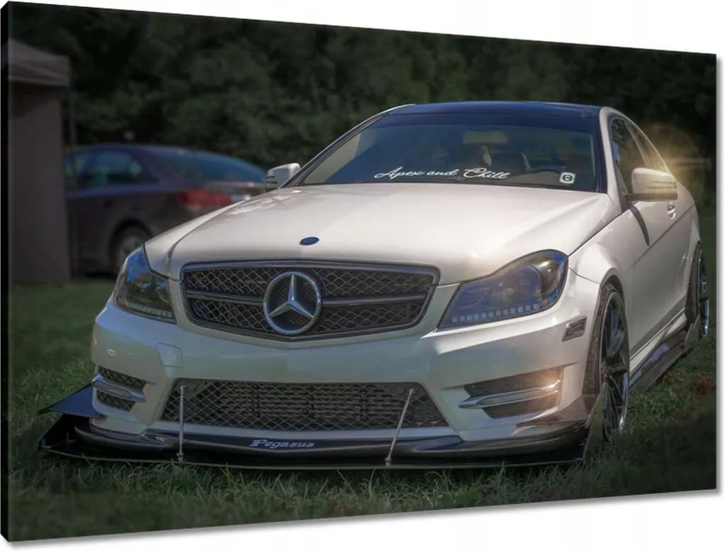 Festmények 90x60 Mercedes