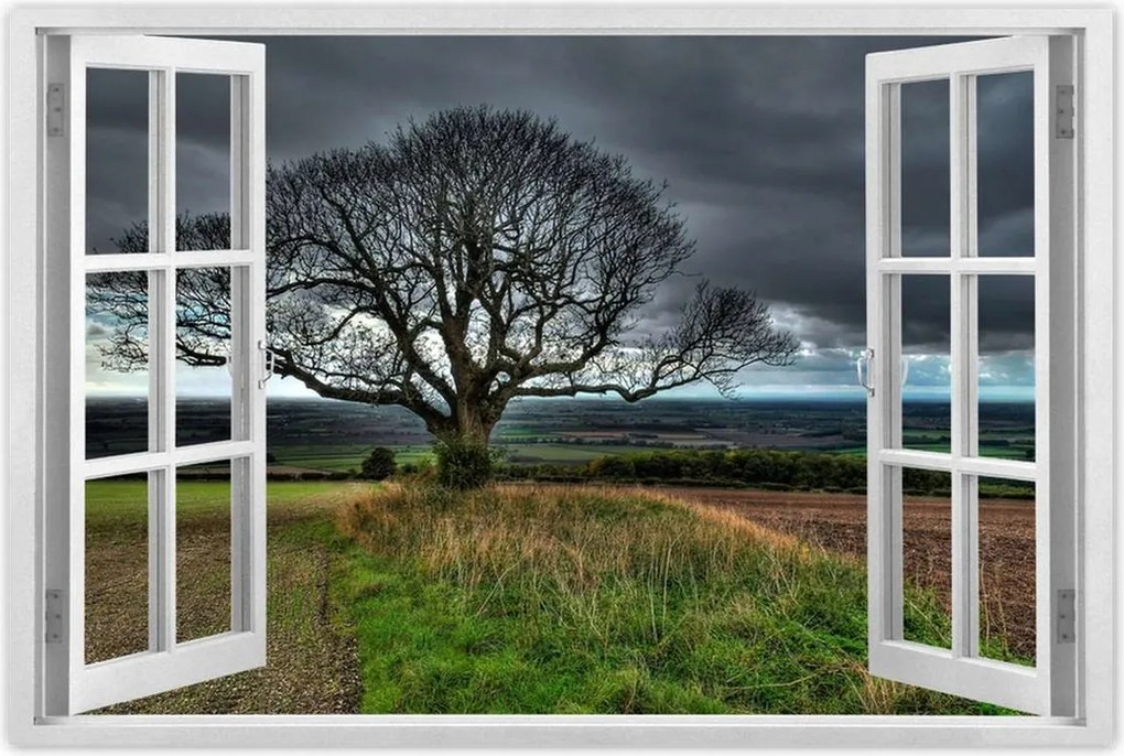 Poszterek 120x80 Fa tájkép