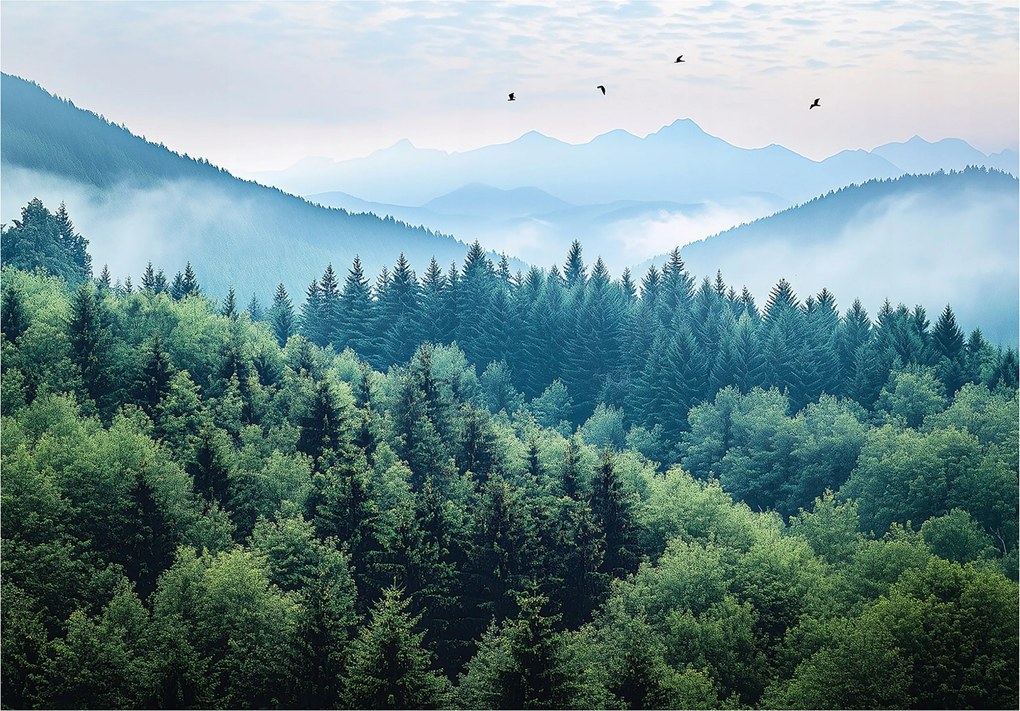 3D Fotótapéta Hegyek Erdő Köd Természet Hálószoba Nappali Tapéta Flizelina 300x210