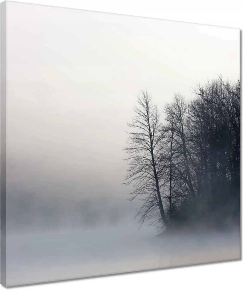 Vászonkép 40x40 Ködös erdő Tél