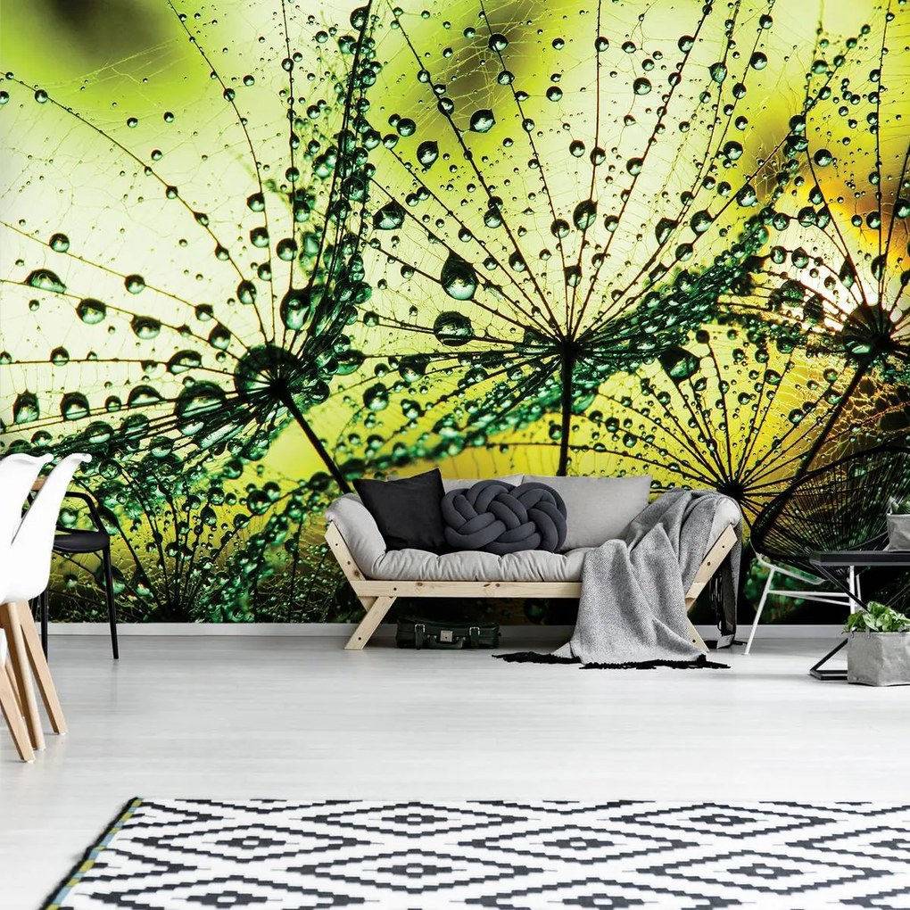 Fotótapéta - Pitypang - absztrakt - zöld (152,5x104 cm)