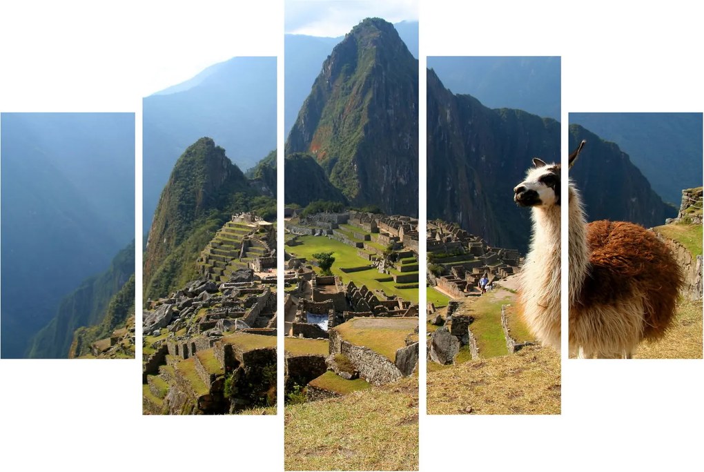 Kép - Láma és Machu Picchu (150x105 cm)