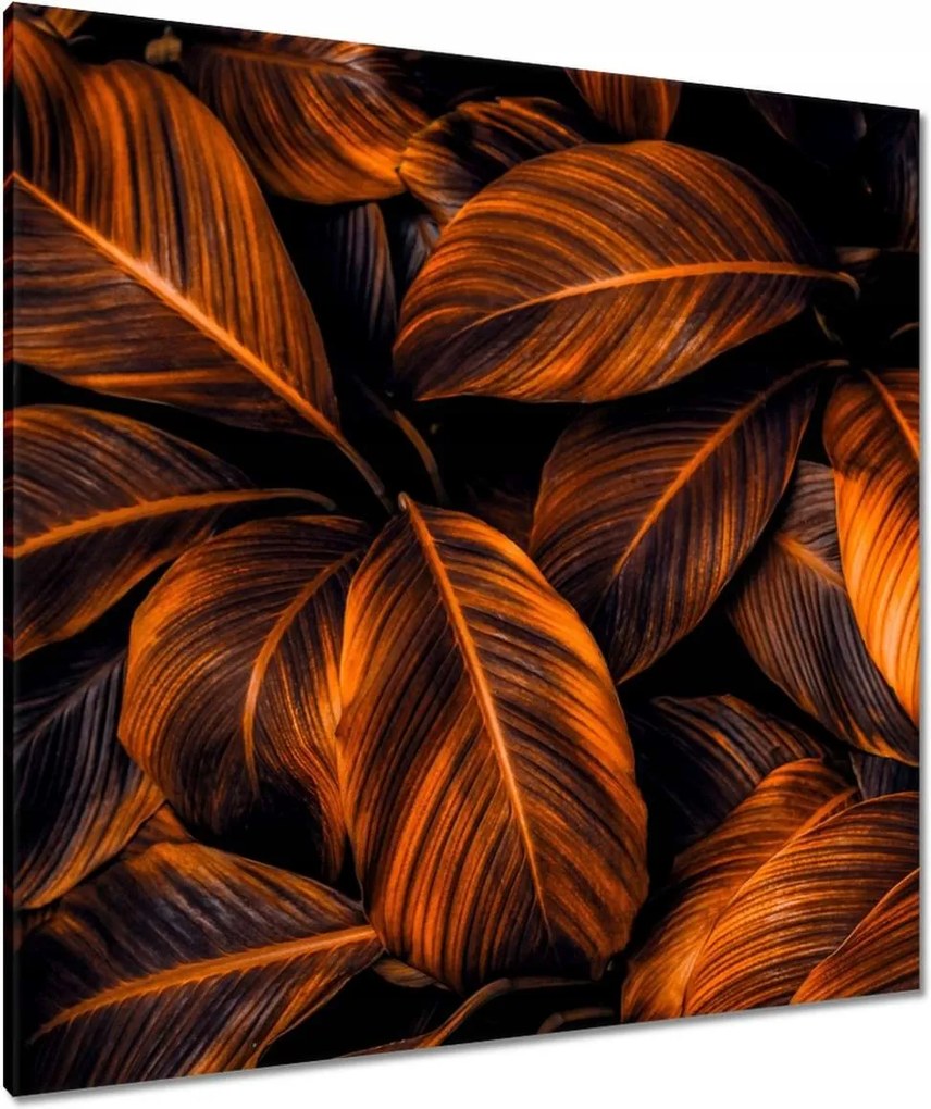 Vászonkép 90x90 Narancssárga levelek