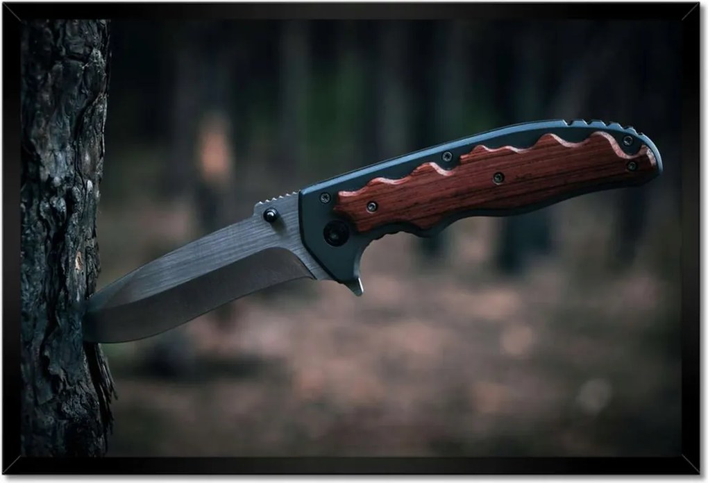 Poszterek keretben 60x40 Fa kéregbe szúrt kés