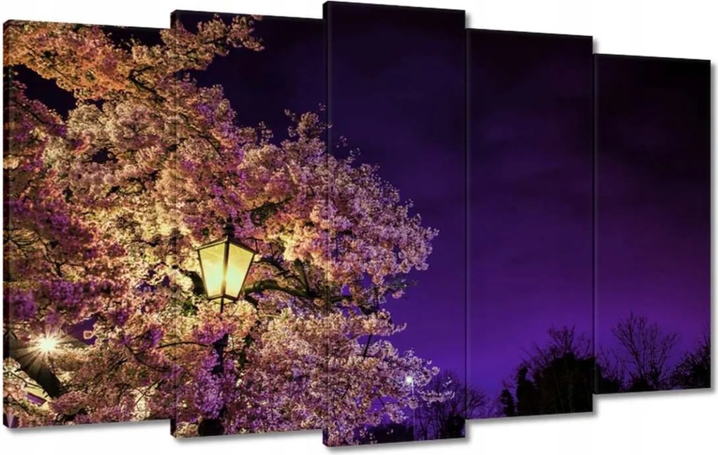 Festmények 100x60 Éjszakai motívum a nappaliba