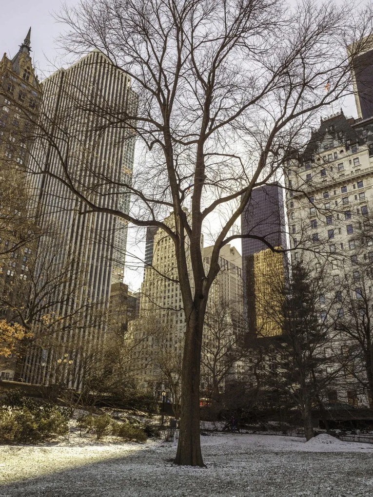 Poszter 60x80cm Központi park panorámával Alsó-Manhattan 2, Assaf Frank