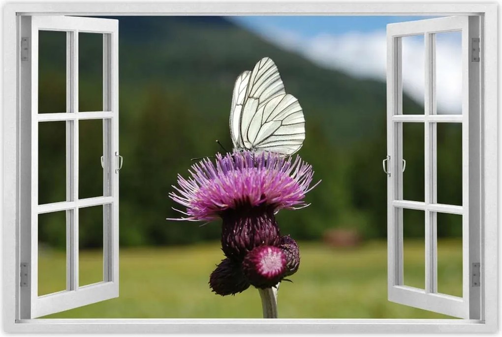 Poszterek 120x80 Fehér káposzta